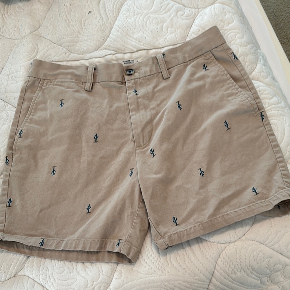 Old Navy Tan Flat Front Shorts with Embroidered Design